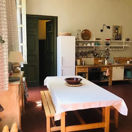 Palais Des Papes: Historic Mansion With Free Nearby Parking *