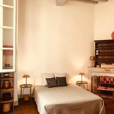 Palais Des Papes: Historic Mansion With Free Nearby Parking
