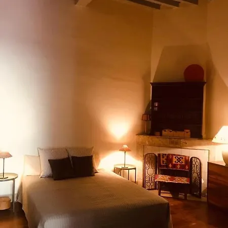 Apartment Palais Des Papes: Historic Mansion With Free Nearby Parking