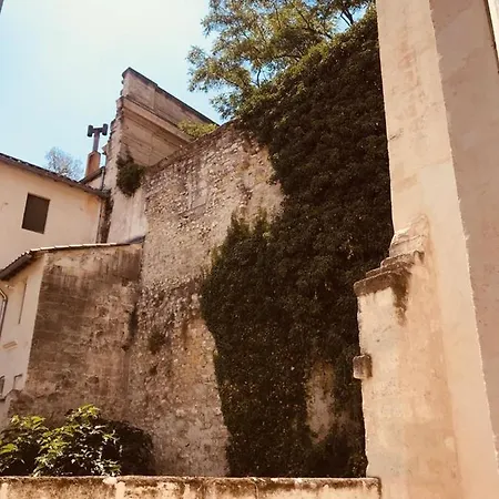 Palais Des Papes: Historic Mansion With Free Nearby Parking Apartment Avignon