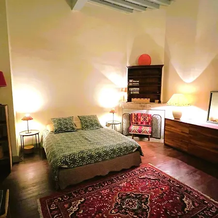 Palais Des Papes: Historic Mansion With Free Nearby Parking Apartment