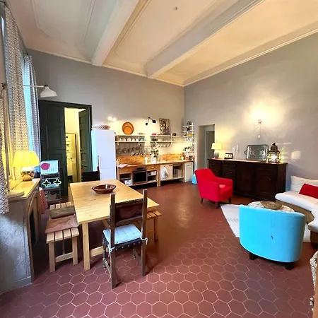 Palais Des Papes: Historic Mansion With Free Nearby Parking Apartment Avignon